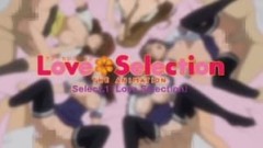 Love Selection