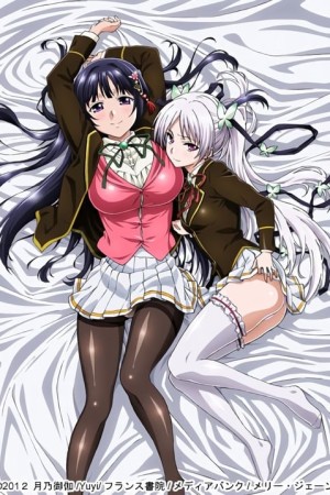 Ojou-sama☆Yomeiri Kousou!